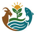 Logo Website